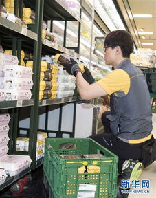 韩政府承诺销毁 毒鸡蛋 及其加工食品